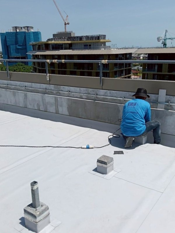 Mulbery Groove Condo Forestias Bangkok